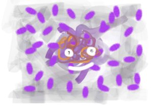 Mr-Purple